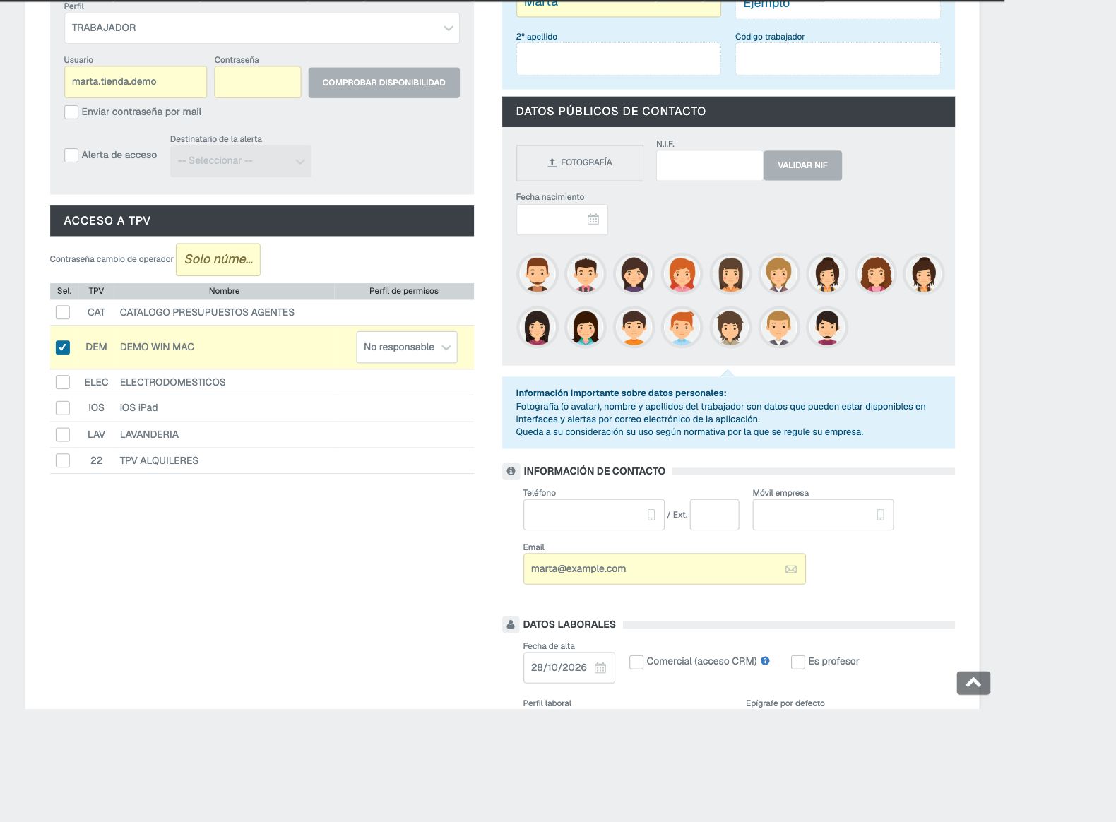 Bloque ACCESO A TPV con DEMO WIN MAC marcado y Perfil de permisos No responsable
